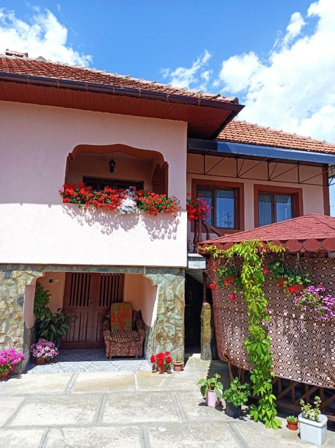Pensiunea Ileana Novaci-Străini Exterior photo