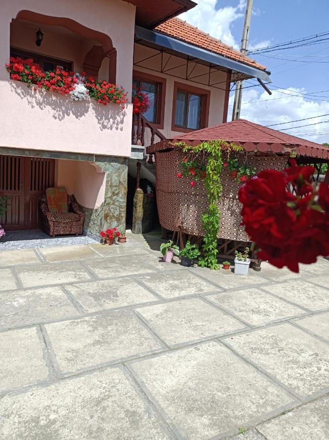 Pensiunea Ileana Novaci-Străini Exterior photo