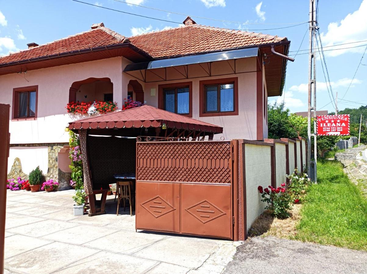 Pensiunea Ileana Novaci-Străini Exterior photo