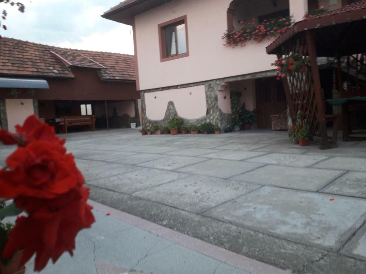 Pensiunea Ileana Novaci-Străini Exterior photo