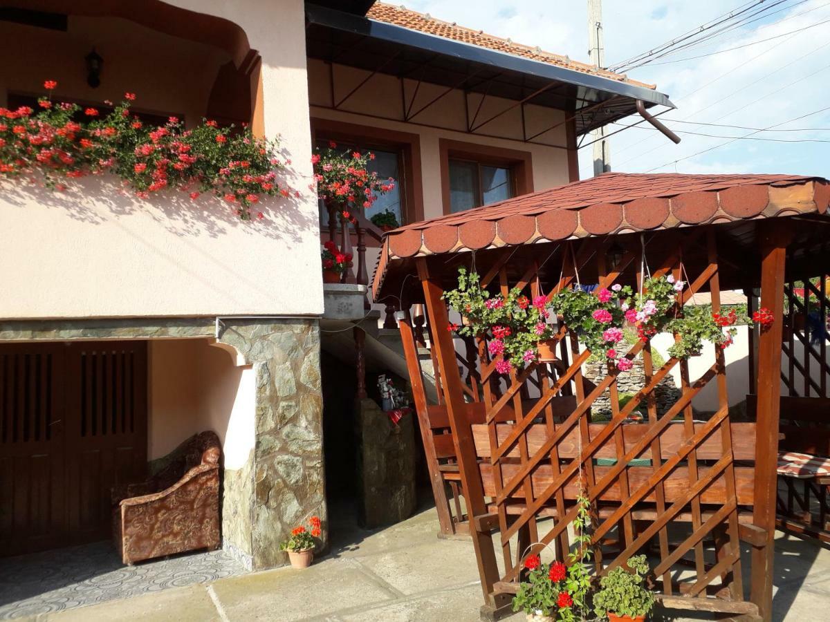 Pensiunea Ileana Novaci-Străini Exterior photo